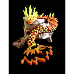 Fuegonar Fire Dragon