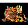 Fuegonar Fire Dragon